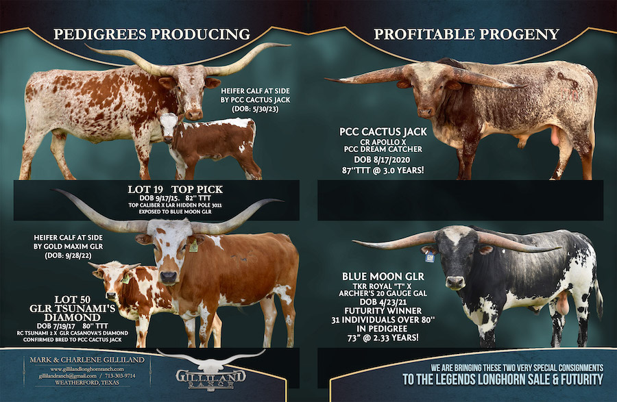 Gilliland Ranch raising premium Registered Texas Longhorns in the